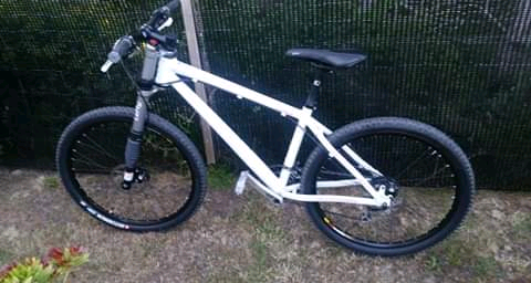cannondale caffeine lefty